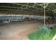 95 Burns Road, Thirlmere NSW 2572