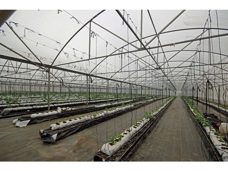 126 Nattai Street, Tahmoor NSW 2573