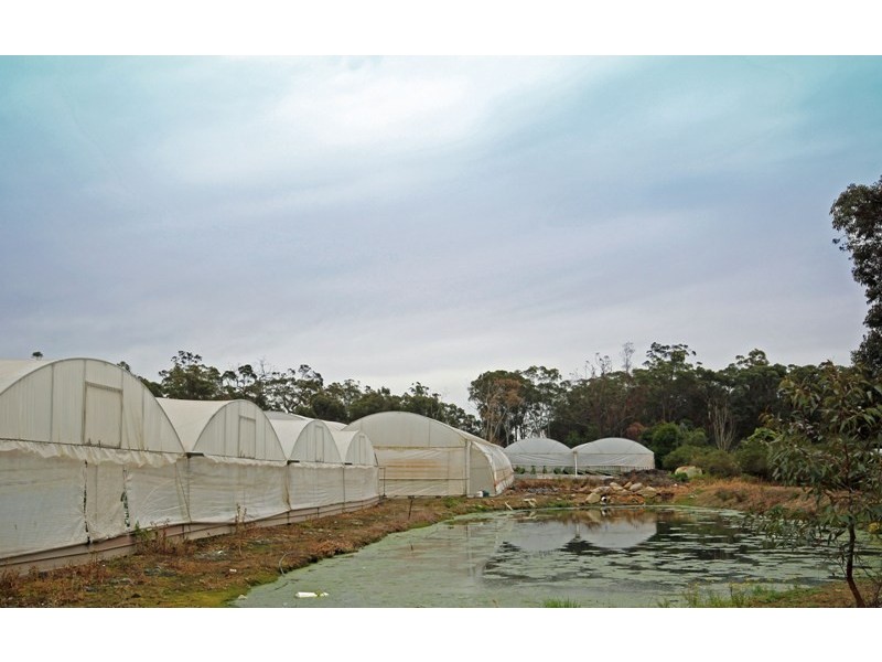 126 Nattai Street, Tahmoor NSW 2573