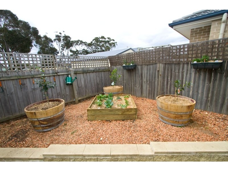 16 Fitzroy Street, Hill Top NSW 2575