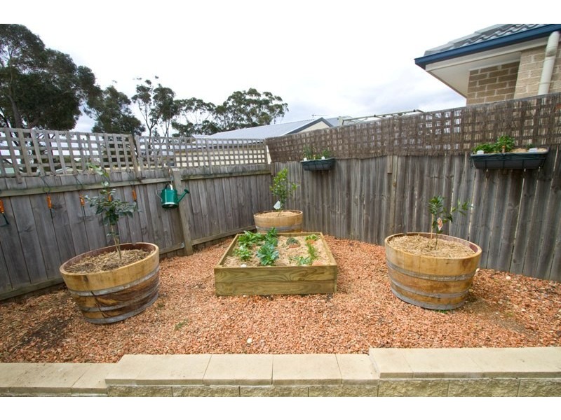 16 Fitzroy Street, Hill Top NSW 2575