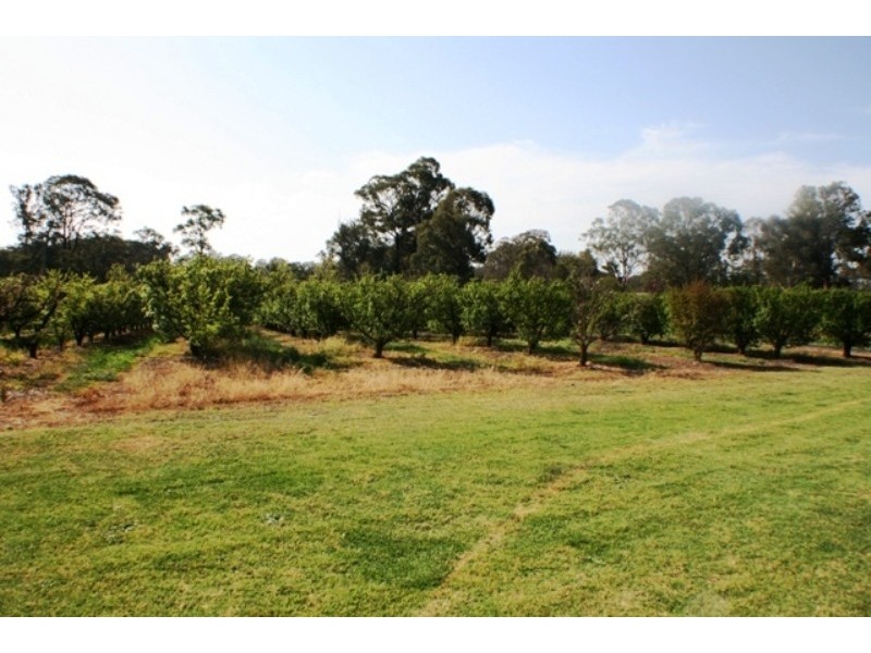 20 Edinburgh Street, Tahmoor NSW 2573