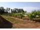 20 Edinburgh Street, Tahmoor NSW 2573