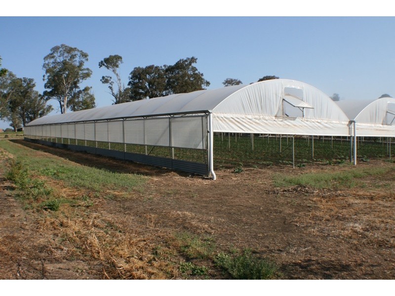 20 Edinburgh Street, Tahmoor NSW 2573