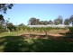 20 Edinburgh Street, Tahmoor NSW 2573