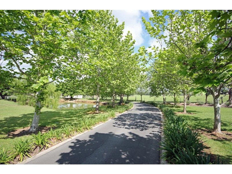50 Wilton Park Road, Wilton NSW 2571