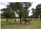 55 Stokes Road, Tahmoor NSW 2573