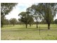 55 Stokes Road, Tahmoor NSW 2573