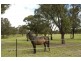 55 Stokes Road, Tahmoor NSW 2573