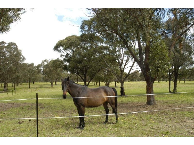 55 Stokes Road, Tahmoor NSW 2573