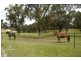 55 Stokes Road, Tahmoor NSW 2573
