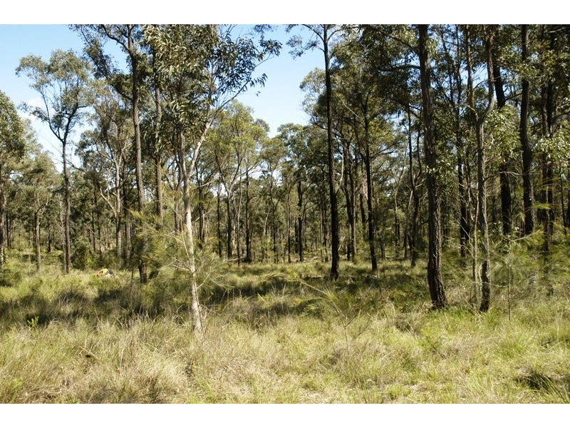 Lot 1 Esen Way, Pheasants Nest NSW 2574