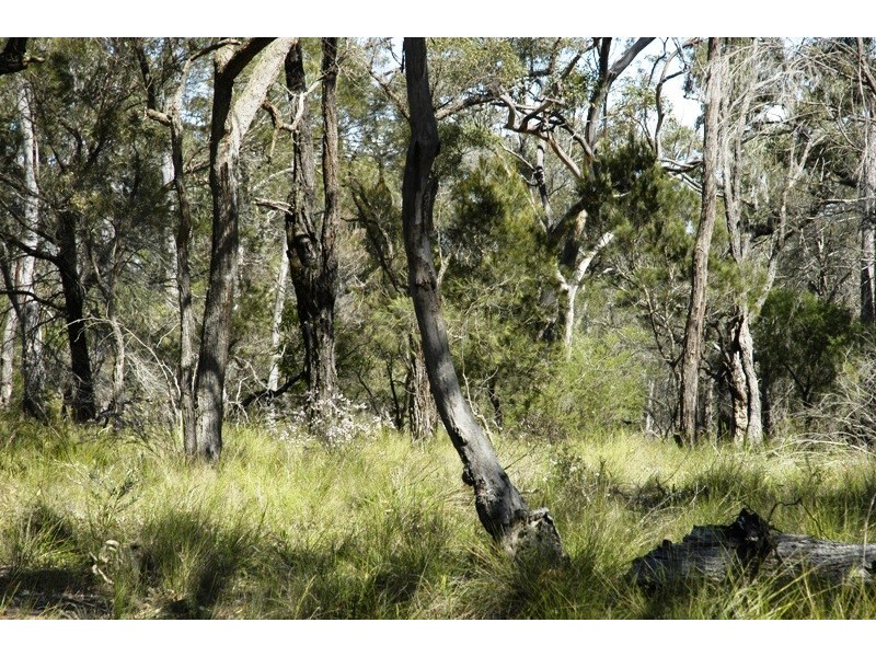 Lot 3 Esen Way, Pheasants Nest NSW 2574