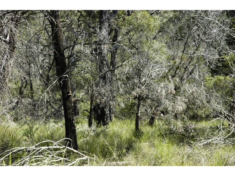 Lot 3 Esen Way, Pheasants Nest NSW 2574