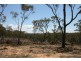 Lot 7, Wilson Drive, Buxton NSW 2571