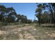 Lot 7, Wilson Drive, Buxton NSW 2571