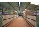 10 Nattai Street, Tahmoor NSW 2573