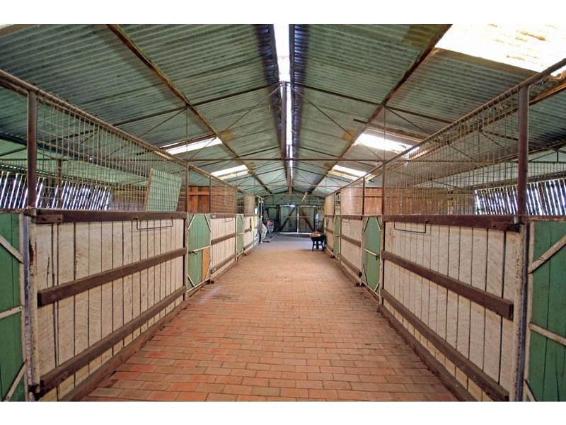10 Nattai Street, Tahmoor NSW 2573