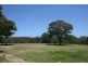 Lot 623, 137 Lyrebrid Road, Pheasants Nest NSW 2574