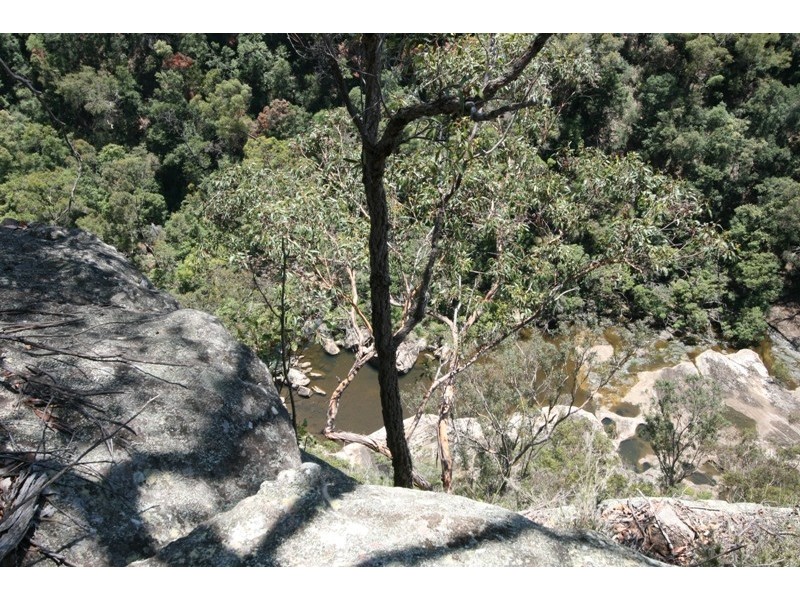 Lot 623, 137 Lyrebrid Road, Pheasants Nest NSW 2574