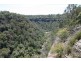 Lot 623, 137 Lyrebrid Road, Pheasants Nest NSW 2574