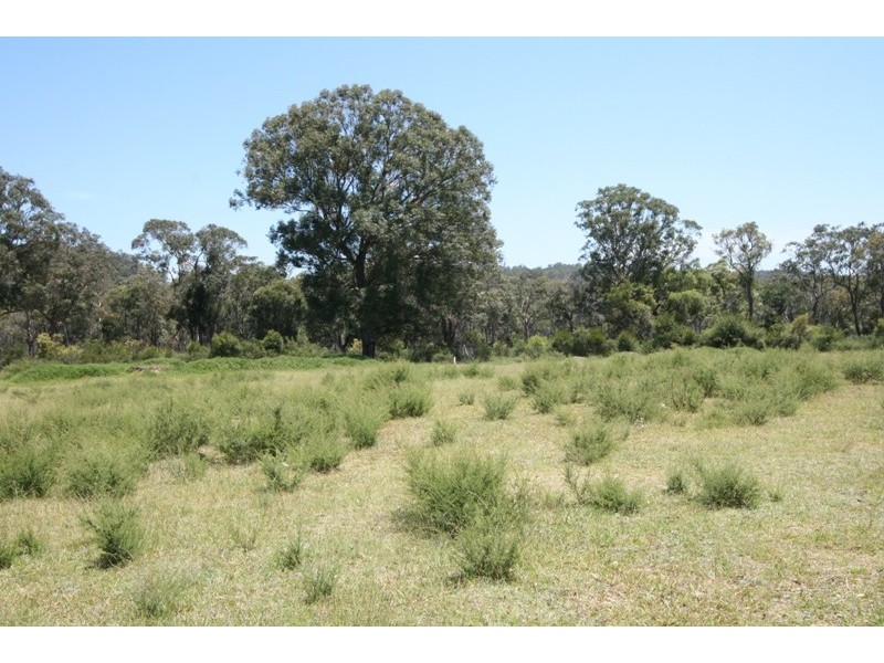 Lot 623, 137 Lyrebrid Road, Pheasants Nest NSW 2574