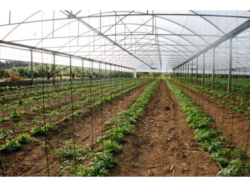 20 Edinburgh Street, Tahmoor NSW 2573