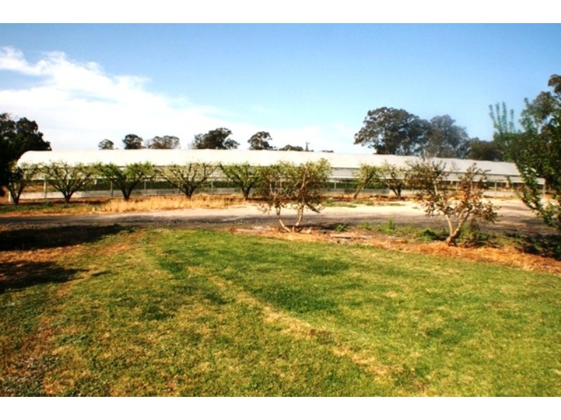 20 Edinburgh Street, Tahmoor NSW 2573