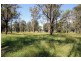 350 Mulhollands Road, Picton NSW 2571