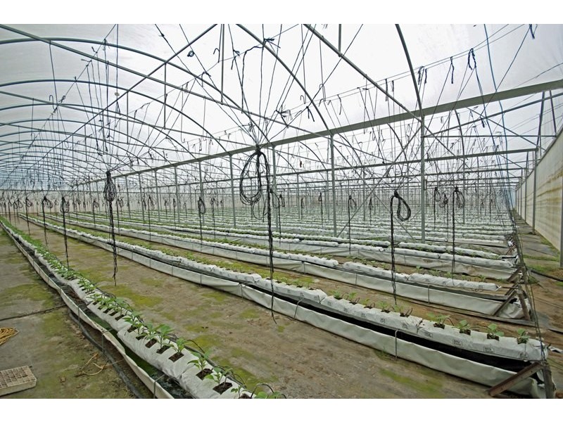 126 Nattai Street, Tahmoor NSW 2573