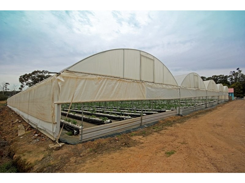 126 Nattai Street, Tahmoor NSW 2573