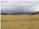 20 Abbotsford Road, Picton NSW 2571