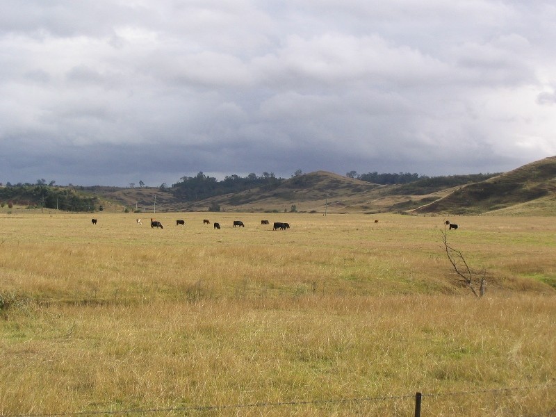 20 Abbotsford Road, Picton NSW 2571