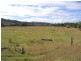 20 Abbotsford Road, Picton NSW 2571
