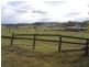 20 Abbotsford Road, Picton NSW 2571