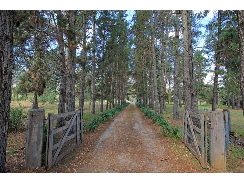 79 Mockingbird Road, Pheasants Nest NSW 2574