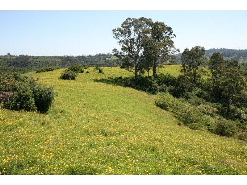 45 Rays Lane, Picton NSW 2571