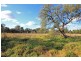 180 Bargo River Road, Tahmoor NSW 2573