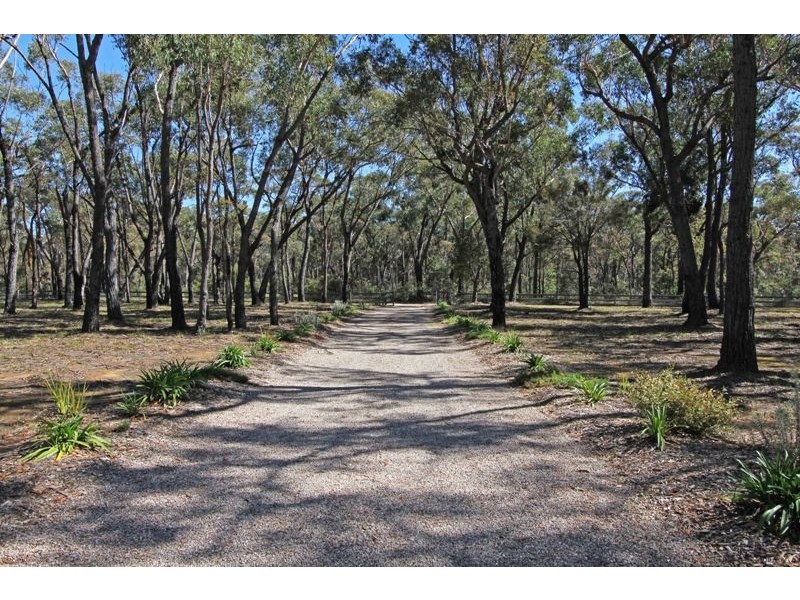 3 Amy Street, Buxton NSW 2571