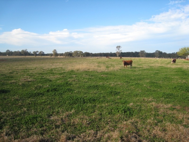 75 Great Southern Road, Bargo NSW 2574