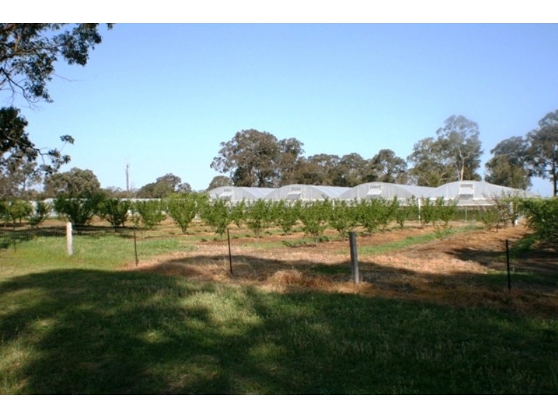 20 Edinburgh Street, Tahmoor NSW 2573
