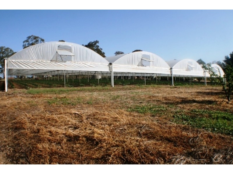 20 Edinburgh Street, Tahmoor NSW 2573