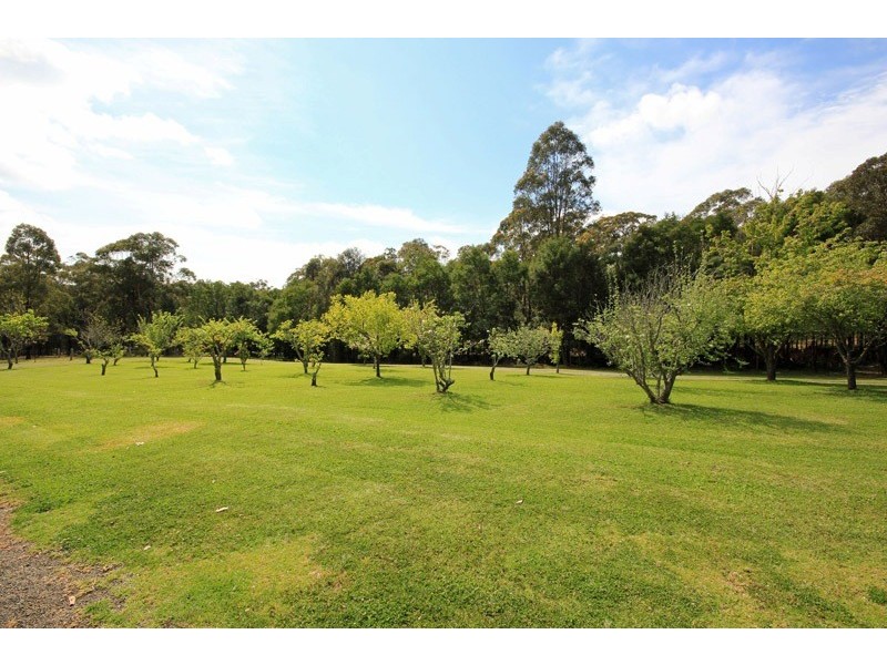 1223 Barkers Lodge Road, Oakdale NSW 2570