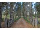 79 Mockingbird Road, Pheasants Nest NSW 2574
