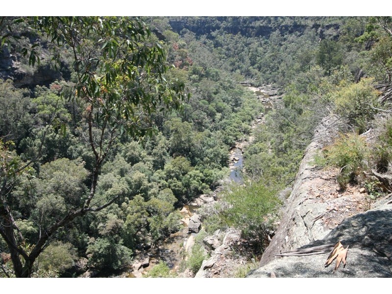 Lot 623, 137 Lyrebird Road, Pheasants Nest NSW 2574