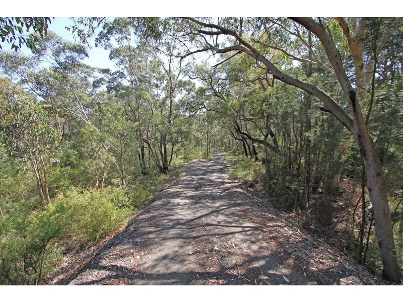 295 Wilton Road, Wilton NSW 2571