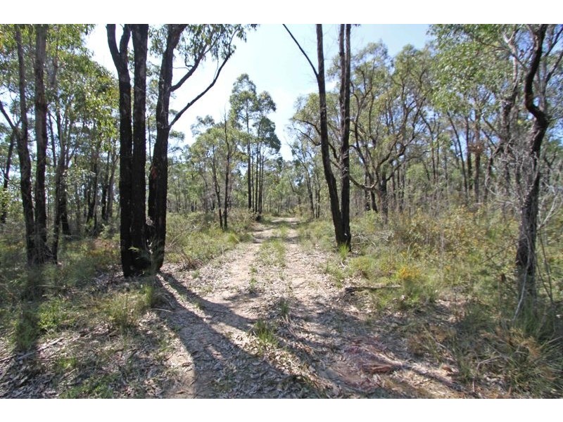 295 Wilton Road, Wilton NSW 2571