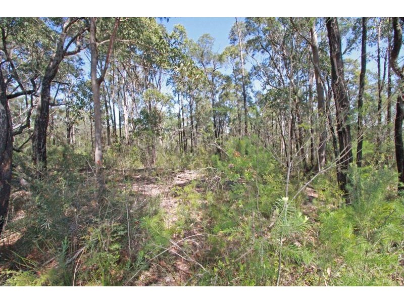 295 Wilton Road, Wilton NSW 2571