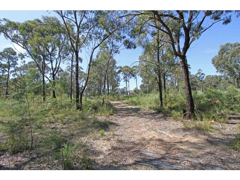 295 Wilton Road, Wilton NSW 2571