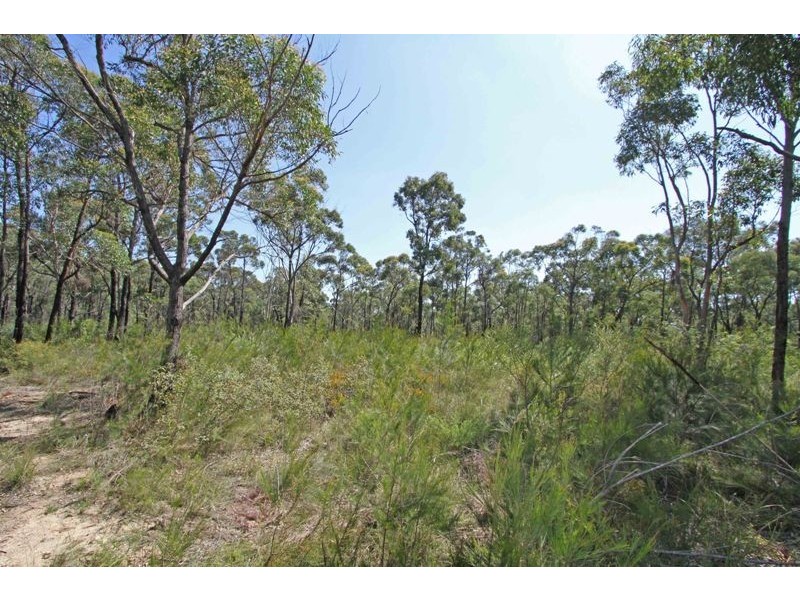 295 Wilton Road, Wilton NSW 2571